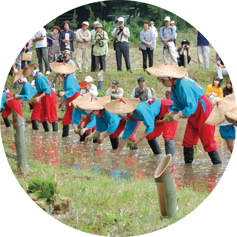 近津神社の中田植